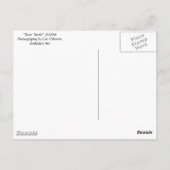 "カワガメ" ポストカード (裏面)