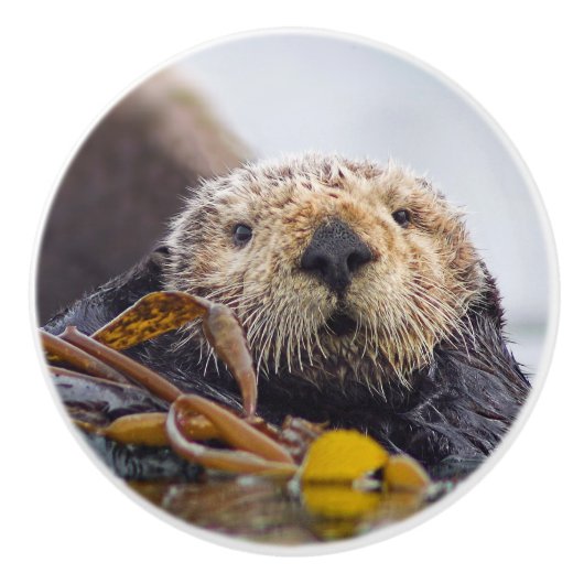 カワサプライズノブ セラミックノブ (正面)