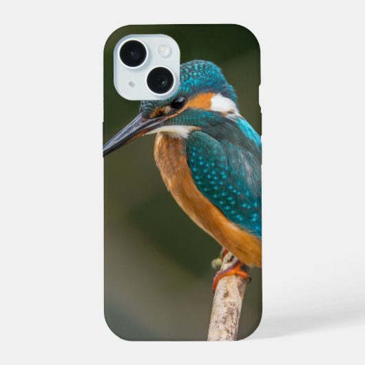 カワセミのプロフィール写真 iPhone 15ケース (裏面)