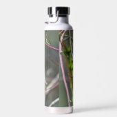 カワセミのボトルを持つトール熱 ウォーターボトル (右面)