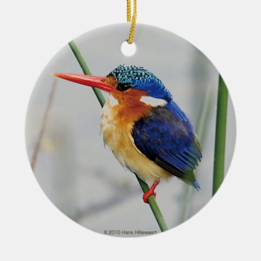 カワセミの優良製品 セラミックオーナメント (正面)
