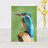 カワセミの挨拶状 カード (黄色い花)