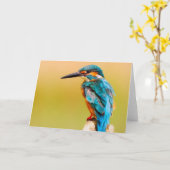 カワセミの鳥の挨拶状 カード (黄色い花)