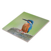 カワセミの鳥 タイル (側面)