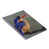 カワセミ科の鳥、宝石カワセミ、湖 ノートブック (右側)