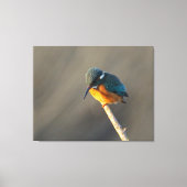 カワセミ キャンバスプリント (正面)