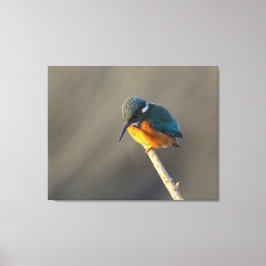 カワセミ キャンバスプリント