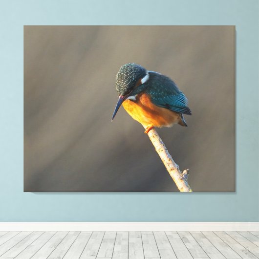 カワセミ キャンバスプリント (インサイチュ (ウッドフロア))