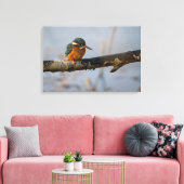 カワセミ キャンバスプリント (インサイチュ (リビング))