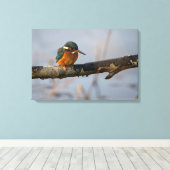 カワセミ キャンバスプリント (インサイチュ (ウッドフロア))