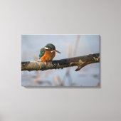 カワセミ キャンバスプリント (正面)