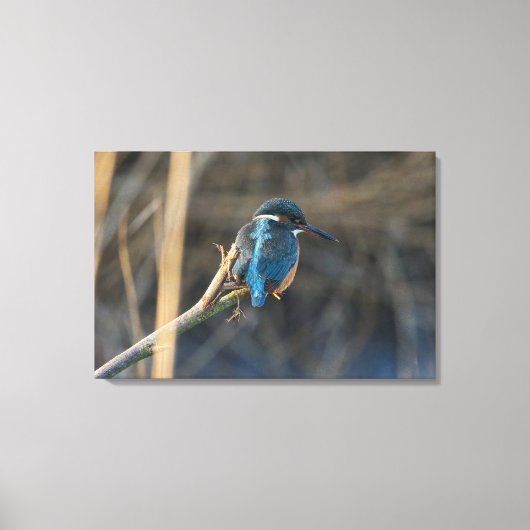 カワセミ キャンバスプリント (正面)