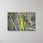 カワセミ キャンバスプリント (正面)