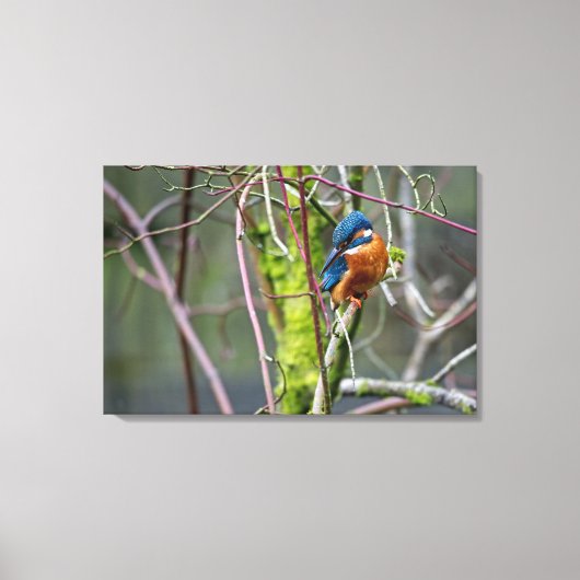 カワセミ キャンバスプリント (正面)