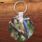 カワセミ キーホルダー (正面)
