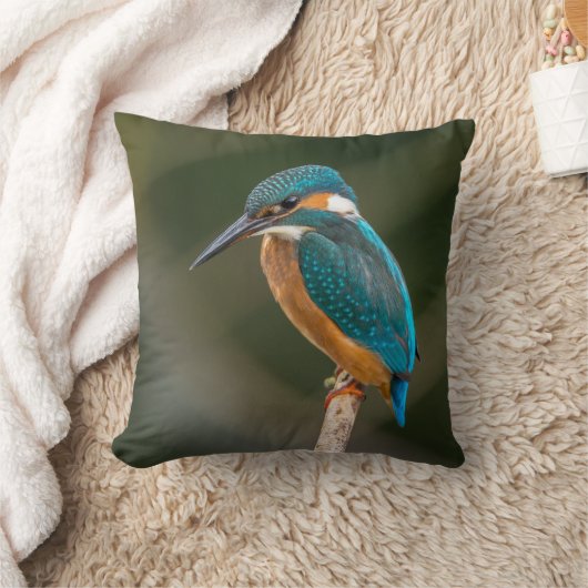 カワセミ クッション (ブランケット)