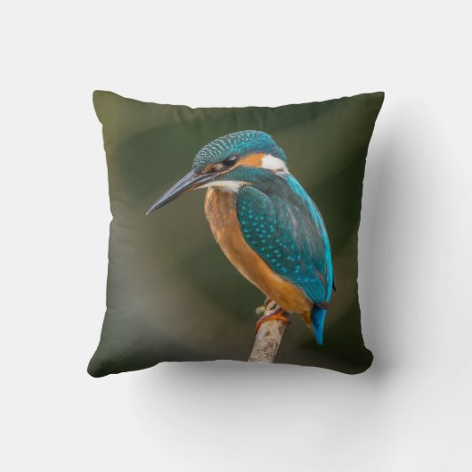 カワセミ クッション (裏面)