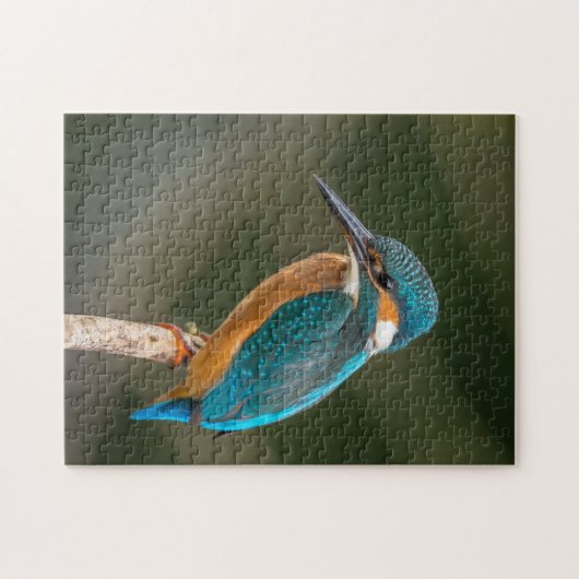 カワセミ ジグソーパズル (横)