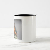 カワセミ ツートーンマグカップ (中央)