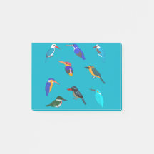 カワセミ