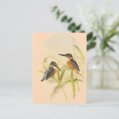 カワセミ ポストカード (スタンド正面)