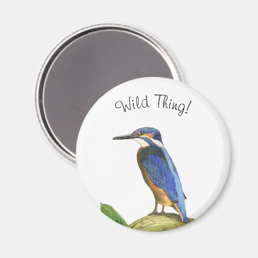 カワセミ マグネット (正面/裏面)