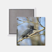 「カワセミ」磁石 マグネット (正面/裏面)