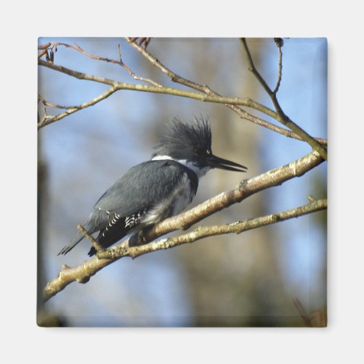 「カワセミ」磁石 マグネット (正面)