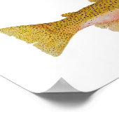 カワマス ポスター (角)