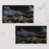 カワマス 名刺 (正面/裏面)