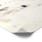 カワラフト ポスター (角)