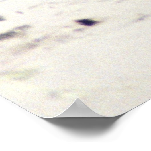 カワラフト ポスター (角)