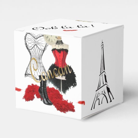 カンカンの衣装1 フェイバーボックス (正面サイド)