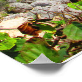 カンカン #8 ポスター (角)