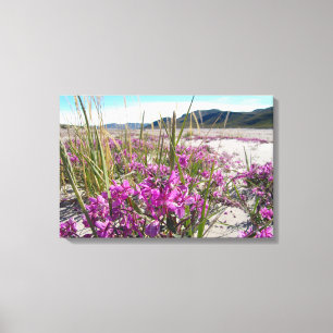 カンガルスサックグリーンランド キャンバスプリント