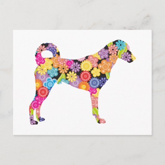 カンガルドッグ ポストカード (正面)