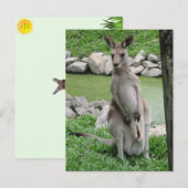 カンガルーとジョーイ葉書 シーズンポストカード (正面/裏面)