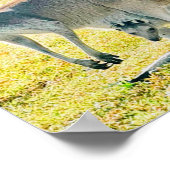 カンガルーとベビー ポスター (角)