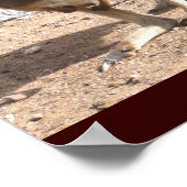 カンガルーのポスター ポスター (角)