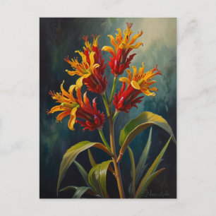 カンガルーの前花 ポストカード