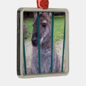 カンガルーの後ろのバー メタルオーナメント (右)