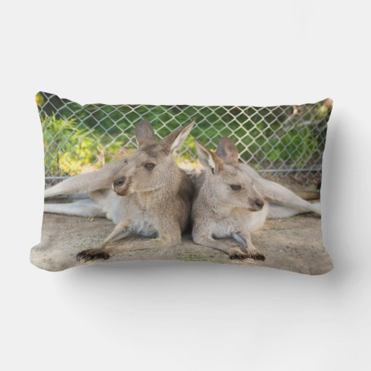 カンガルーの枕 ランバークッション (正面)