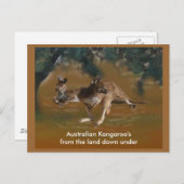 カンガルーはがき ポストカード (正面/裏面)