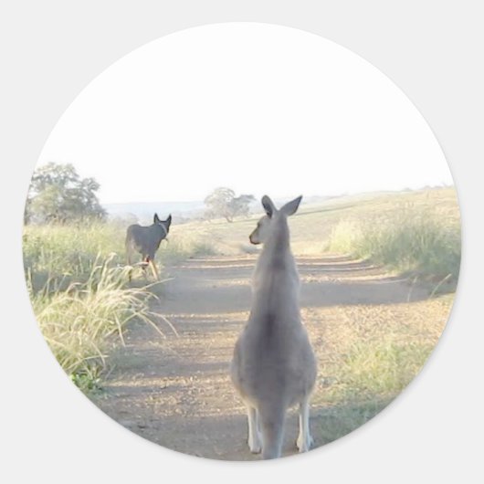 カンガルーをチェプドッグのサム ラウンドシール (正面)