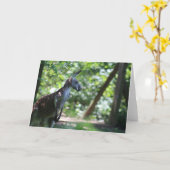 カンガルーグリーティングカード カード (黄色い花)