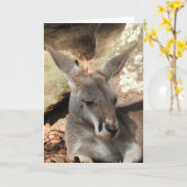 カンガルーグリーティングカード カード (黄色い花)
