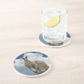 カンガルーコースター コースター (側面)