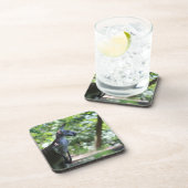 カンガルーコースター コースター (右側)