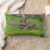 カンガルーシエスタ、ランバークッション。 ランバークッション (ブランケット)