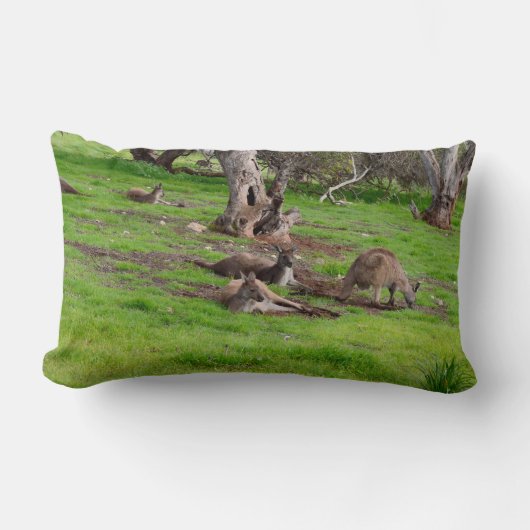 カンガルーシエスタ、ランバークッション。 ランバークッション (正面)